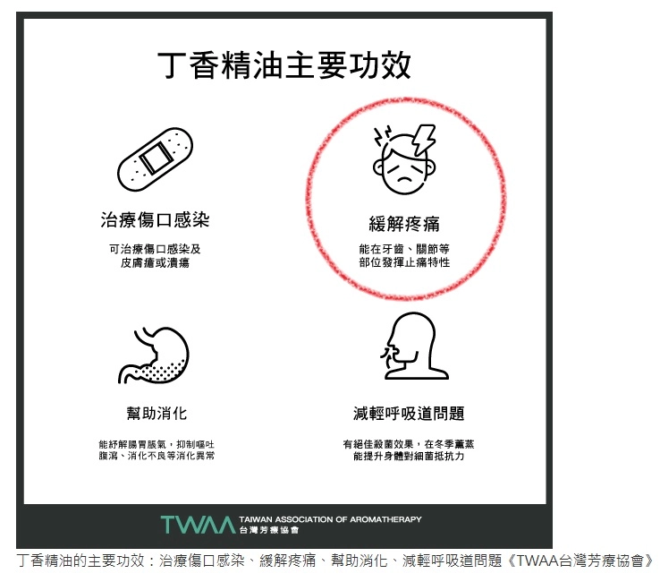 丁香精油的主要功效 之一 抑制牙齒痛