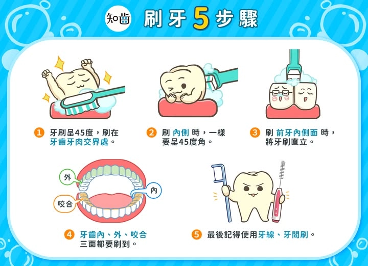 教幼兒正確的刷牙方式，牙齒內外側和牙齦都要刷到。