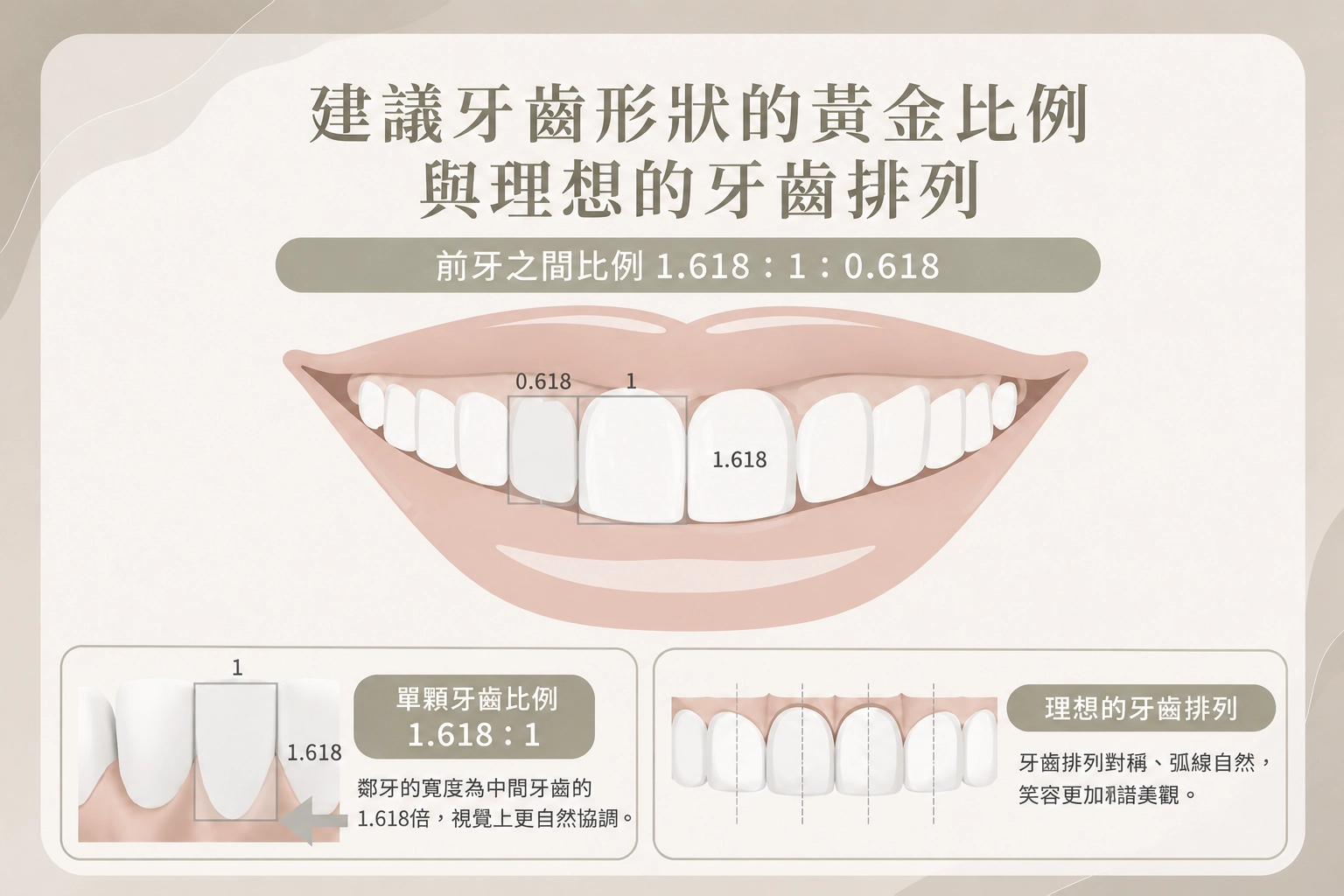 牙齒黃金比例美學示意圖/德林牙醫